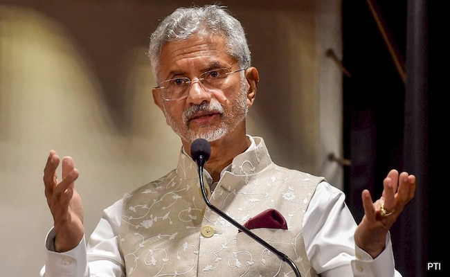 'May Not Be...': S Jaishankar Hits Back At Criticism Of PM Modi's Putin Hug