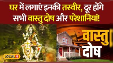 Vastu Dosh से हैं परेशान? जानिए कैसे Nandi की तस्वीर बदल सकती है आपकी किस्मत! #local18 – News18 हिंदी