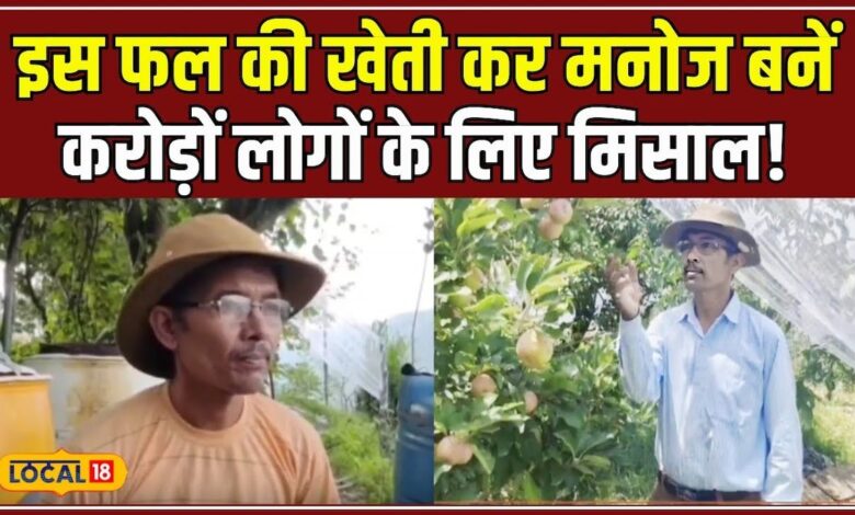 सेब की खेती कर जीवन में हासिल की सफलता, जानें Apple Man मनोज की कहानी! #local18 – News18 हिंदी