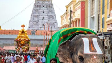 Behind Making Of Tirupati Laddoos: How Ingredients Are Procured