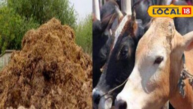 Good news for farmers and cattle rearers, a subsidy of Rs 10,000 will be given for making cow dung manure, 400 farmers of Nagaur included