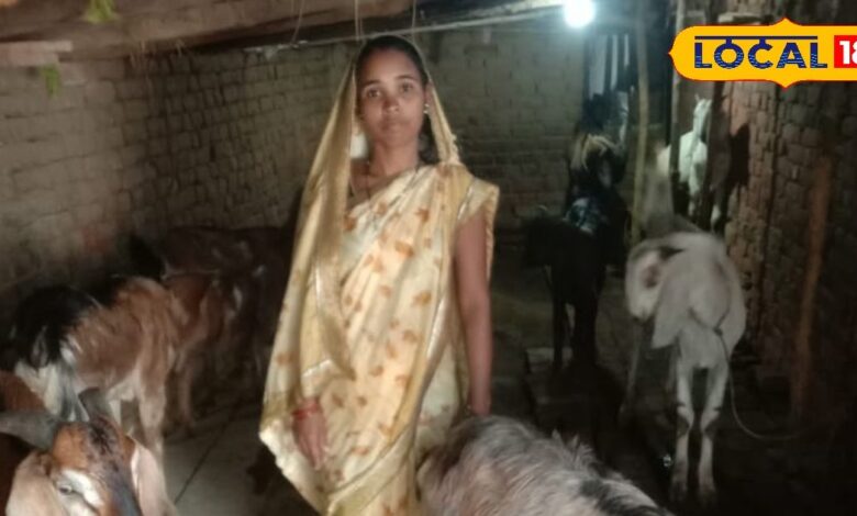 How to get loan for goat farming business with government-schemes benefit after husbands-death