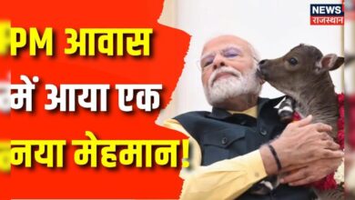 PM आवास पर किस नन्हे मेहमान की हुई Entry ? PM Narendra Modi New Guest News – News18 हिंदी