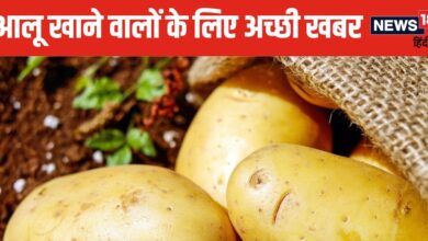 Potato Benefits: अरे गजब हो गया, आलू तो सभी सब्जियों का बाप निकला ! फायदे जानकर खरीद लाएंगे बोरा