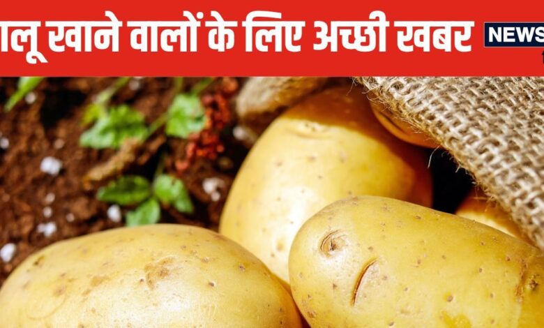 Potato Benefits: अरे गजब हो गया, आलू तो सभी सब्जियों का बाप निकला ! फायदे जानकर खरीद लाएंगे बोरा