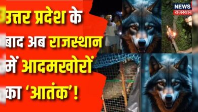 Rajasthan News :Rajasthan के किसान पर कौन आदमखोर कर रहा हमला ? Bikaner News | UP Wolf Attack