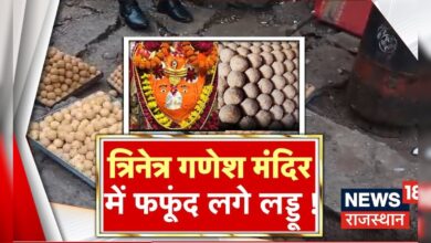 Rajasthan News : Trinetra Ganesh Temple में खाद्य विभाग की बड़ी कार्रवाई| Ranthambore News