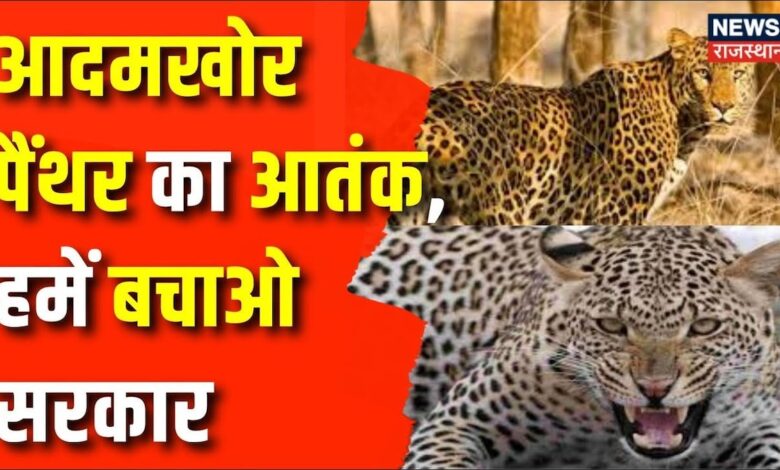 Rajasthan News : Udaipur के गोगुंदा में आदमखोर पैंथर का आतंक, दो महिलओं की मौत | Udaipur News