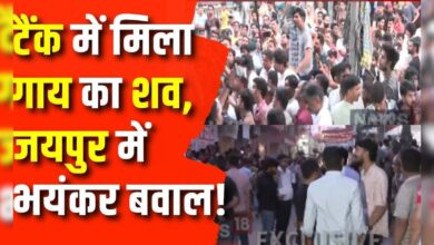 Rajasthan News Update : Jaipur में निर्माणाधीन बिल्डिंग में मिला गाय का शव,भयंकर बवाल