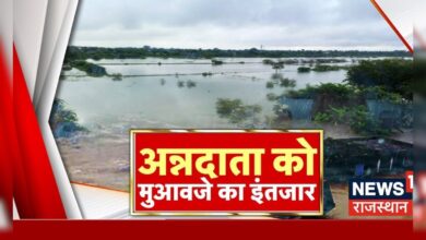 Rajasthan news : आसमानी आफत से अनदाता परेशान | Weather | Mansoon | Breaking News