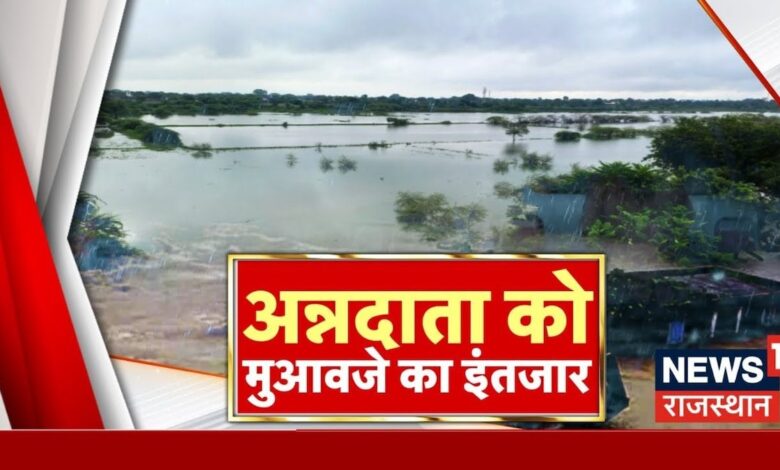 Rajasthan news : आसमानी आफत से अनदाता परेशान | Weather | Mansoon | Breaking News