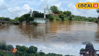 The lost smile of this river of Rajasthan returned after 8 years, Bhadravati river was seen flowing gracefully for the first time after 2016