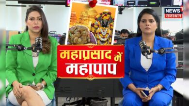 Tirupati Laddu Animal Fat Row: तिरुपति के प्रसाद में जानवर की चर्बी? Tirupati Laddu News