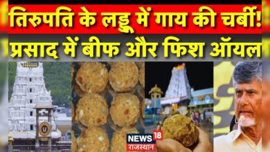 Tirupati Laddu Animal Fat Row : तिरुपति के लड्डू में गाय की चर्बी ? Tirupati Laddu News