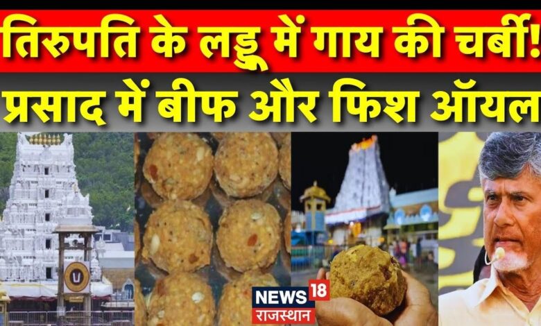 Tirupati Laddu Animal Fat Row : तिरुपति के लड्डू में गाय की चर्बी ? Tirupati Laddu News