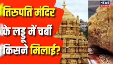 Tirupati Laddu Animal Fat Row : तिरुपति मंदिर के लड्डू में चर्बी किसने मिलाई?