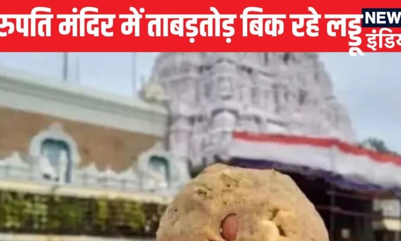 Tirupati Laddu Row: 4 द‍िन 14 लाख लड्डू ब‍िक गए... ज‍िस त‍िरुपत‍ि के प्रसाद को लेकर देशभर में बवाल, वहां श्रद्धालु जमकर खा रहे 'बेशकीमती प्रसाद'