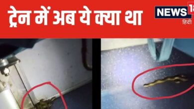 Train Viral Video: दयोदय एक्सप्रेस ट्रेन में छिपकर बैठा था कुछ ऐसा, मच गया हंगामा, स्टेशन पर खड़ी रही गाड़ी