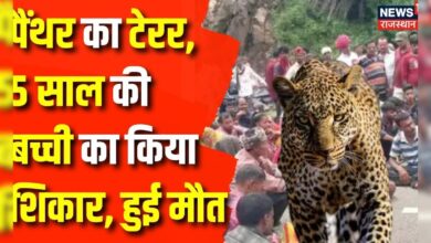 Udaipur Panther Attack News : फिर लौट आया आदमखोर | Rajasthan News | Udaipur News | Top News