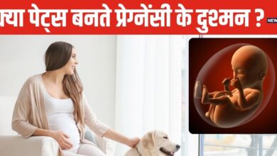 पेट्स का प्यार प्रेग्नेंट महिलाओं के लिए खतरनाक! क्यों प्रेग्नेंसी में पेट्स को रखना चाहिए दूर?