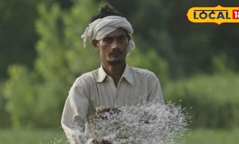 बंजर होती भूमि को बचाने के लिए बड़ा फैसला, किसानों को मिलेगा मुफ्त जिप्सम