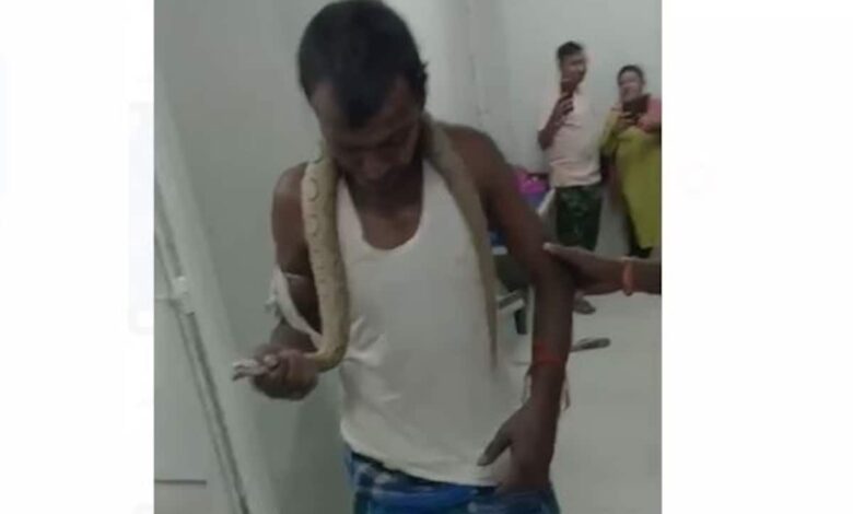 Video: Bihar Man Bitten By Snake Walks Into Hospital With Reptile In Hand