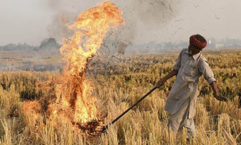 192 Farmers Charged For Stubble Burning In Haryana