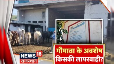 Alwar News: कौन है गायों का गुनहगार ? इलाके में फैला सनसनी | Latest News