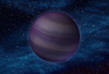 Astronomers Confirm Brown Dwarf Gliese 229B as Twin Pair Orbiting in 12 Days