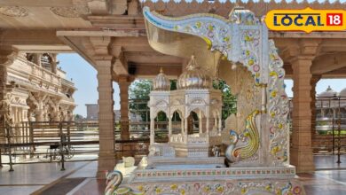 Dhanteras Celebrations Devotees Offer Silver Chariot and Palanquin at Shri Sawaliya Seth Temple