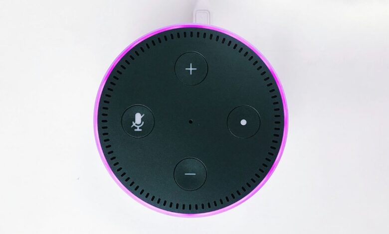 Do Voice Assistants Like Alexa Help Alleviate Loneliness in the Elderly?