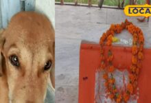 Dog Temple: यहां भगवान के रूप में कुत्ते की होती है पूजा, 200 साल पहले हुई इस घटना से जुड़ी है कहानी