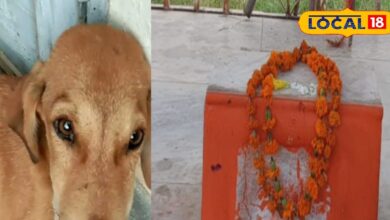 Dog Temple: यहां भगवान के रूप में कुत्ते की होती है पूजा, 200 साल पहले हुई इस घटना से जुड़ी है कहानी