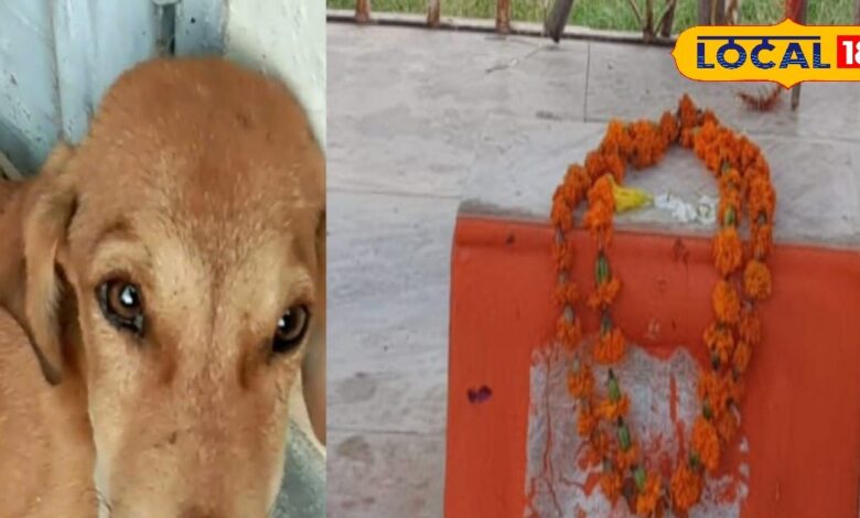 Dog Temple: यहां भगवान के रूप में कुत्ते की होती है पूजा, 200 साल पहले हुई इस घटना से जुड़ी है कहानी