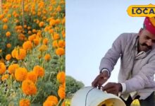 Farming Idea: सालाना 15 लाख कमाता है ये किसान, इंटरनेट पर मिला था आइडिया, आप भी जानिए तकनीक