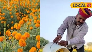 Farming Idea: सालाना 15 लाख कमाता है ये किसान, इंटरनेट पर मिला था आइडिया, आप भी जानिए तकनीक