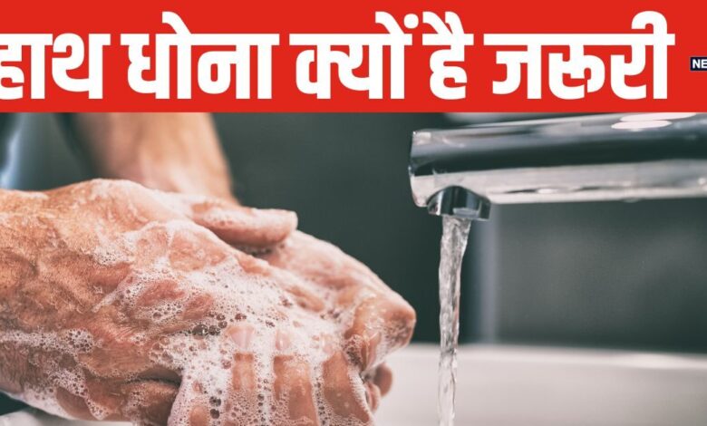 Global Handwashing Day: मैटरनिटी वॉर्ड से क्यों शुरू हुआ हाथ धोने का सिलसिला? क्या है हैंडवॉश का सही तरीका?