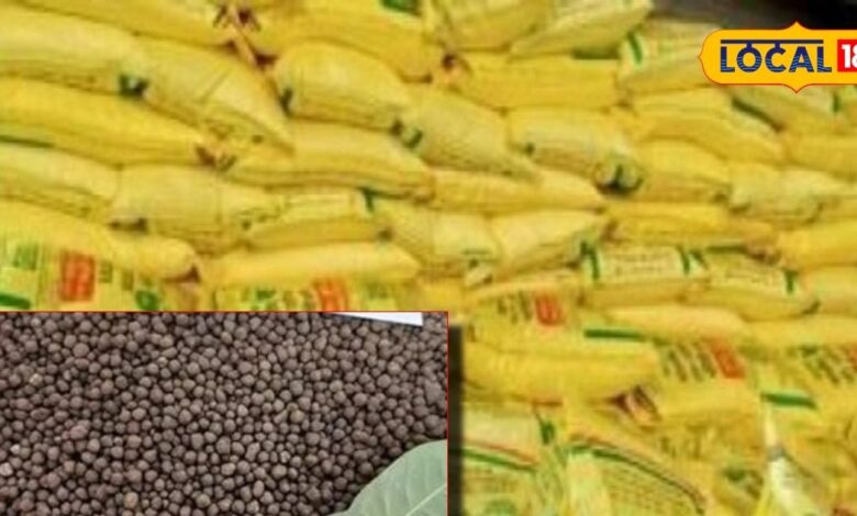 How to identify real and fake DAP fertilizer real price in market – News18 हिंदी