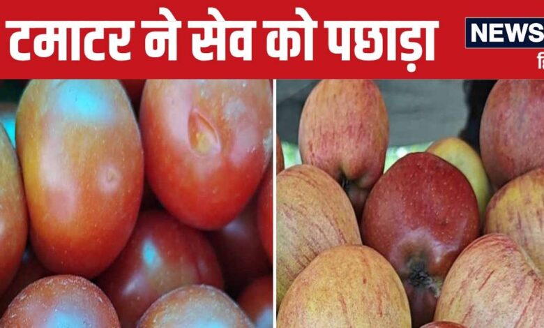 Kota News: कोचिंग सिटी कोटा में सेव से महंगा हुआ टमाटर, कीमत सुनकर चकरा रहे लोग, जानें क्या हैं भाव?