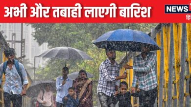 Monsoon Update: North East से आ रहा है भयंकर तूफान, बारिश मचाएगी तबाही, IMD ने कर दिया अलर्ट, जानें मौसम का हाल