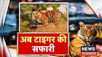 Rajasthan News : अब टाइगर की सफारी, Jaipur में Tiger सफारी का आगाज | Jaipur News