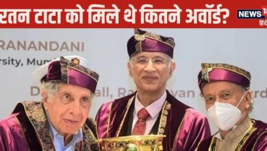 Ratan Tata: रतन टाटा को मिले थे कौन-कौन से पुरस्‍कार और कितनी डिग्रियां, गिनते-गिनते थक जाएंगे आप!