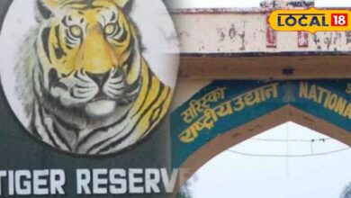 Sariska Tiger Reserve of Rajasthan will be bustling again, after waiting for 3 months, safari will start on all routes from October 1.