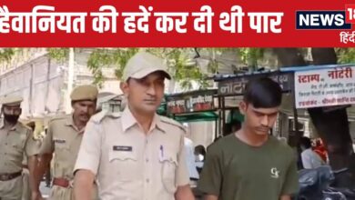 Udaipur Rape and Murder Case : हिल उठा था उदयपुर, शव के कर दिए थे 10 टुकड़े, 4 नंवबर को आ सकता है फैसला