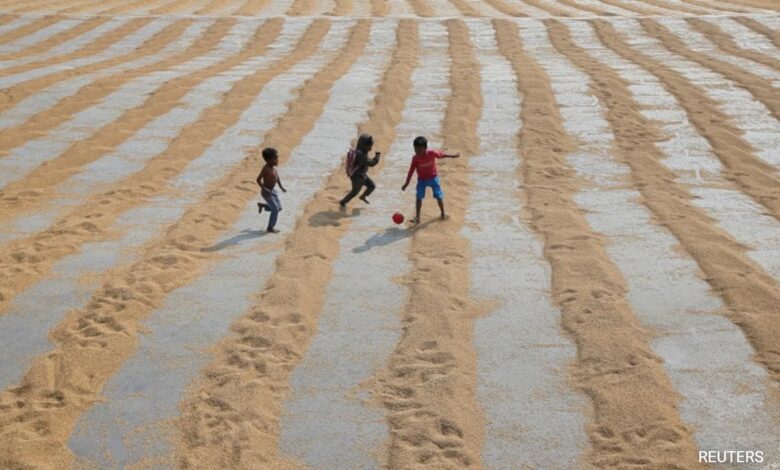 Water Crisis Threatening Half Of Global Food Production: Report