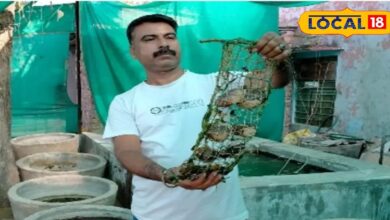 When he failed in the book business, this person from Rajasthan started pearl farming on sandy land, today hundreds of farmers are getting training