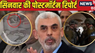 Yahya Sinwar Autopsy: उंगली कटी, खोपड़ी उड़ी और... कैसे मरा याह्या सिनवार? पोस्टमॉर्टम रिपोर्ट में हैरान करने वाला खुलासा