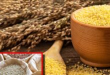 cold weather diet millets for energy and health ayurveda benefits sa