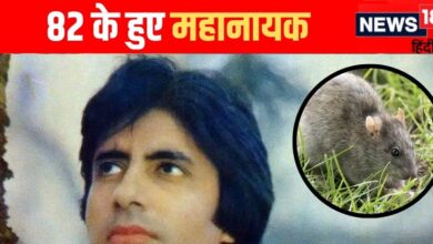 कभी चूहों संग सोने को मजबूर थे अमिताभ बच्चन, नहीं था रहने का ठौर-ठिकाना, आज 1600 करोड़ के हैं मालिक