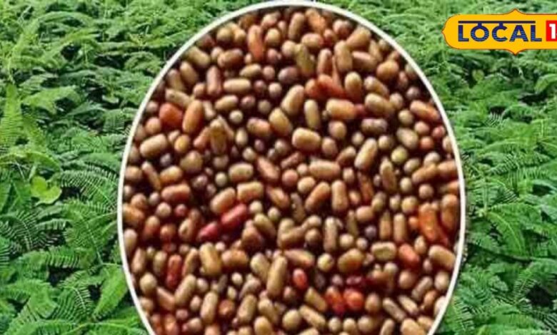 किसान ढैंचा को न समझें बेकार, खेतों में उगाकर मिला सकते हैं ये खाद